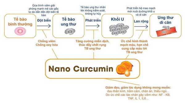 Nano Curcumin Gold, Sữa nghệ, Sữa nghệ Nano Curcumin Gold, Nano Curcumin, topten food, lotte milk, đau dạ dày, tá tràng, viêm loét dạ dày, tá tràng, tinh bột nghệ, 